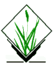 _\|/_ GRASS logo